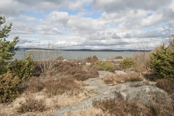 Vroege voorjaar aan de kust — Stockfoto