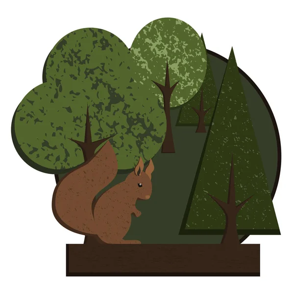 Logo eekhoorn in bos — Stockvector