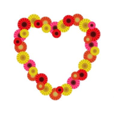 Gerbera kalbinde çerçeve