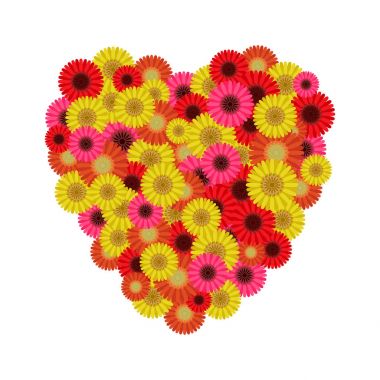 Gerbera kalp sembolü