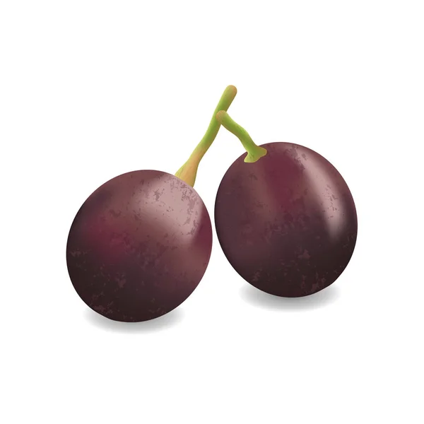 Object fruit druiven wijnstokken — Stockvector