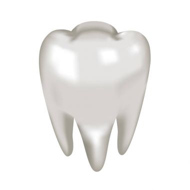 Nesne beyaz diş molar