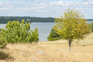Birka dünya mirası İsveç