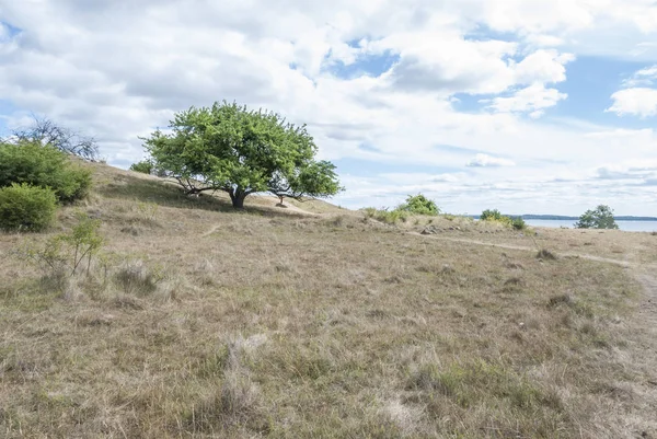 Пейзаж в Hovgarden в Маларен в Швеции — стоковое фото