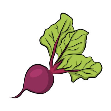 Elle çizilmiş Bahçe pancar, vektör