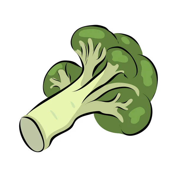 Brócoli Verde Dibujado Mano Vector — Vector de stock