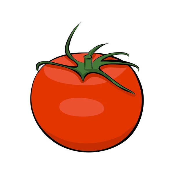 Tomate Vermelho Desenhado Mão Vetor —  Vetores de Stock