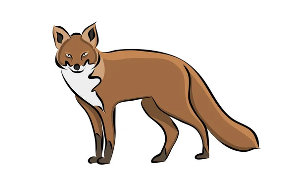 Ręcznie Rysowane Zwierzę Fox Wektor — Wektor stockowy