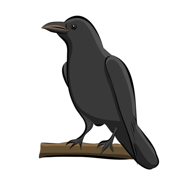 Corbeau Oiseau Dessiné Main Vecteur — Image vectorielle