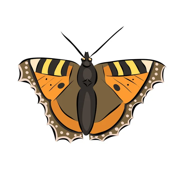 Ručně Nakreslený Oranžový Motýl Vektor — Stockový vektor