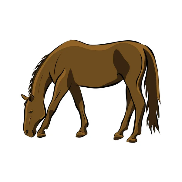 Hand Getrokken Bruin Paard Vector — Stockvector