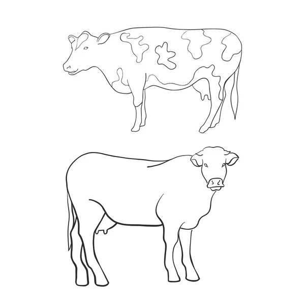 Línea Arte Animal Vaca Vector — Vector de stock