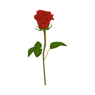 Klip art kırmızı gül, vektör