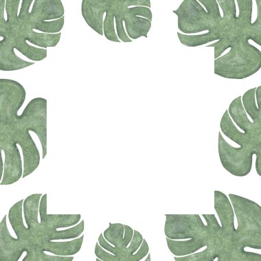 Çerçeve suluboya canavar tropikal bitki, vektör