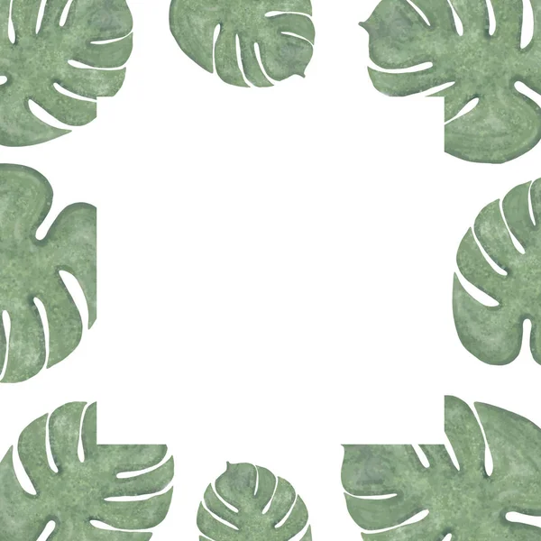 Marco Acuarela Monstera Planta Tropical Vector — Archivo Imágenes Vectoriales