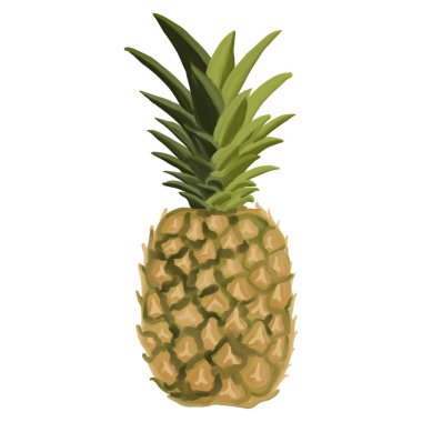 Tropik ananas meyvesi yağda, vektör