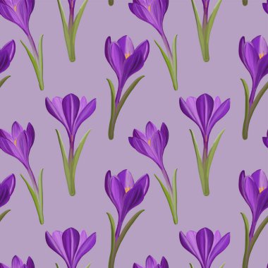 İlkbaharda kusursuz desenli crocus, vektör