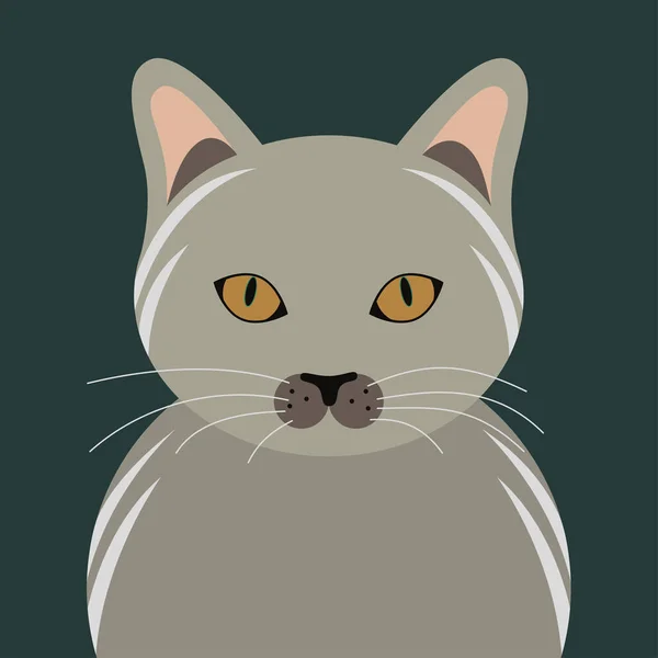 Grijs Kat Huisdier Portret Vector — Stockvector