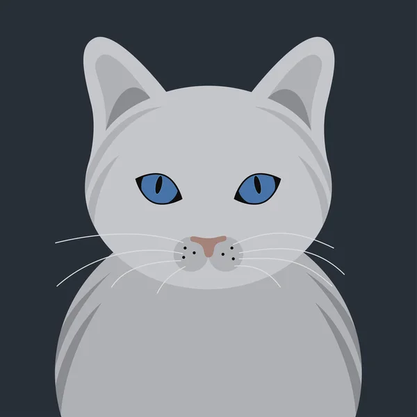 Witte Kat Huisdier Portret Vector — Stockvector