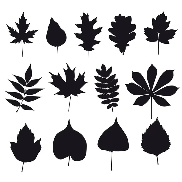 Siluetas de hojas de árbol — Vector de stock