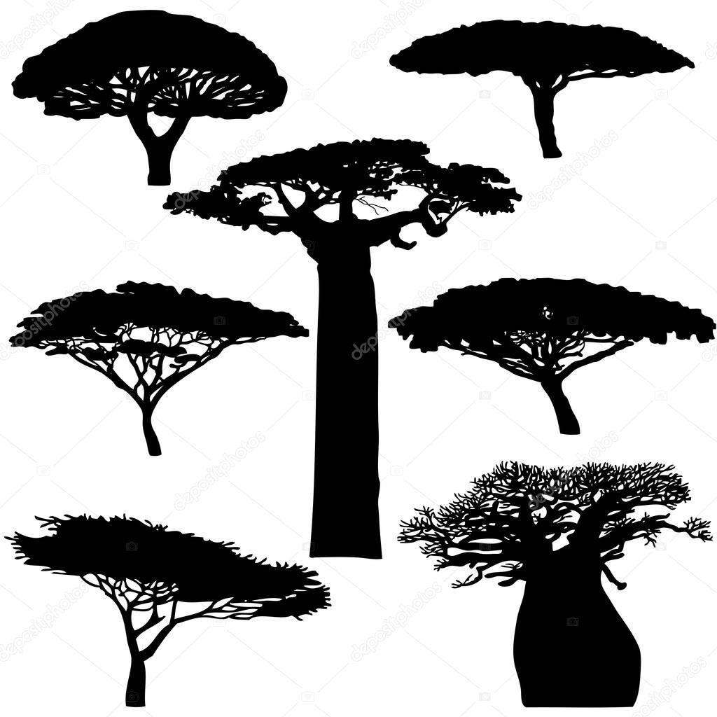 African  trees silhouettes