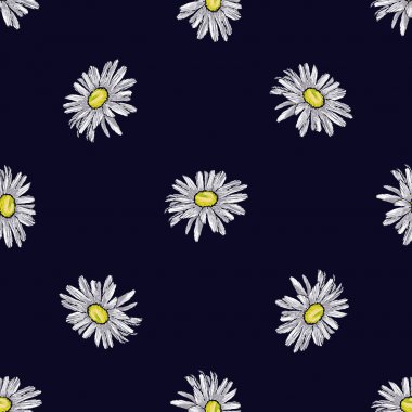 Chamomiles nakış vektör Dikişsiz desen tasarım. 
