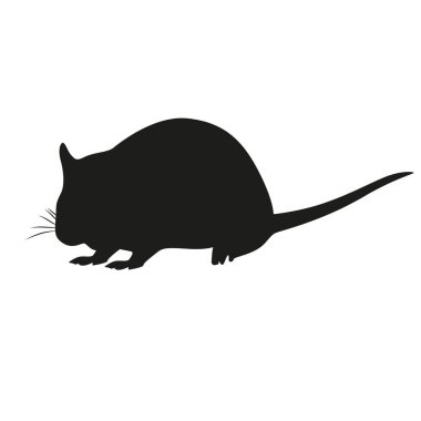 Çeviri: nazo82 Shagrathian