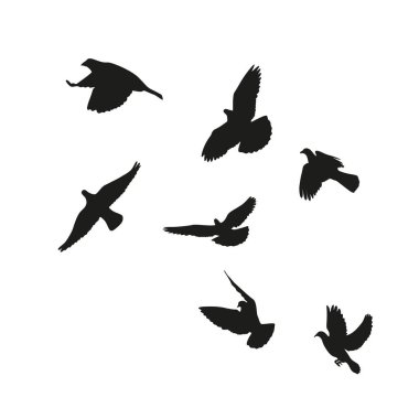 Çeviri: nazo82 Shagrathian