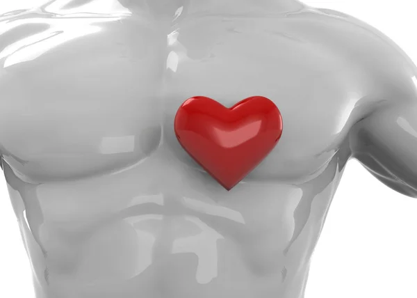 Body Heart — Stock Photo, Image