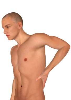 Sırt ağrısı - 3d