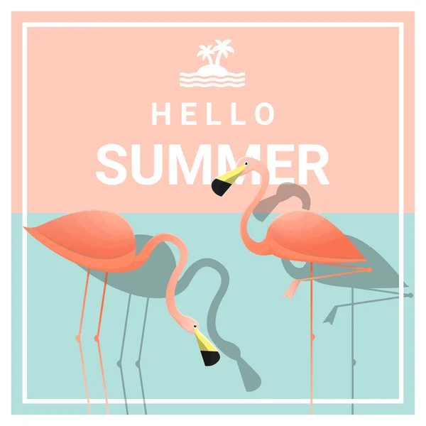 Γεια σας καλοκαίρι φόντο με δύο ροζ φλαμίνγκο, διάνυσμα, εικονογράφηση — Διανυσματικό Αρχείο