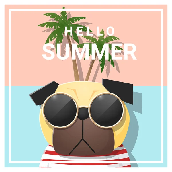 Hello summer background with dog wearing sunglasses, vector, illustration — стоковый вектор
