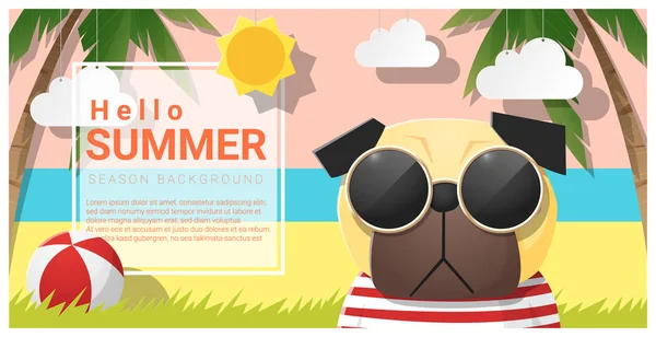 Hallo Sommer Hintergrund mit Hund mit Sonnenbrille, Vektor, Illustration — Stockvektor