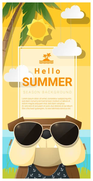 Olá fundo de verão com cão vestindo óculos de sol, vetor, ilustração —  Vetores de Stock