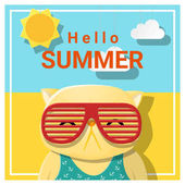 Hello nyári háttér macska visel, napszemüveget, vektor, ábra