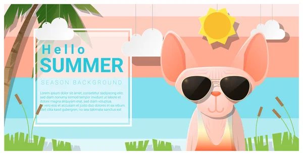 Hola fondo de verano con gato usando gafas de sol, vector, ilustración — Vector de stock