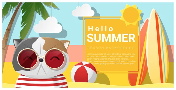 Γεια σας καλοκαίρι φόντο με γάτα φοράει γυαλιά ηλίου, διάνυσμα, εικονογράφηση — Διανυσματικό Αρχείο