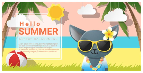 Hallo Sommer Hintergrund mit Katze mit Sonnenbrille, Vektor, Illustration — Stockvektor