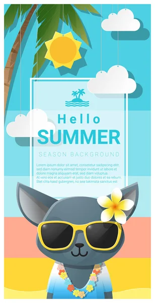 Olá fundo de verão com gato vestindo óculos de sol, vetor, ilustração — Vetor de Stock