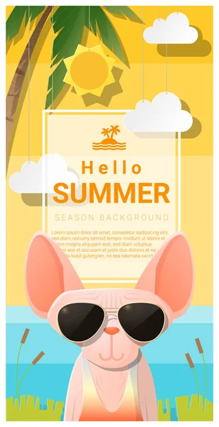 Hallo Sommer Hintergrund mit Katze mit Sonnenbrille, Vektor, Illustration — Stockvektor