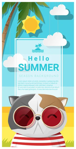 Hello nyári háttér macska visel, napszemüveget, vektor, ábra — Stock Vector