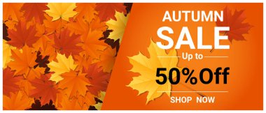Renkli yaprakları, vektör, illüstrasyon ile sonbahar satışı büyük başlığı