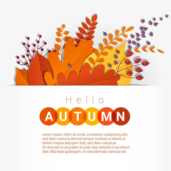 Hello autumn with colorful leaves and fruits background, vector, illustration — стоковый вектор