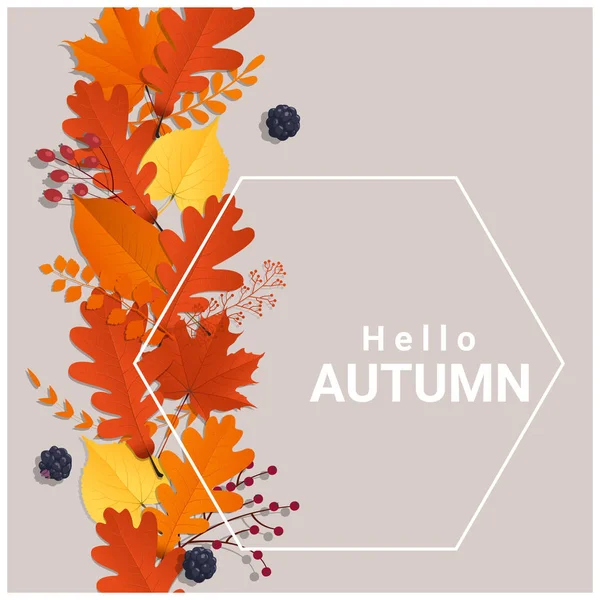 Hola otoño con hojas de colores y frutas de fondo, vector, ilustración — Vector de stock