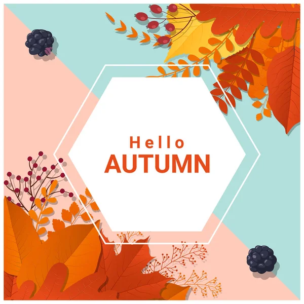 Hello autumn with colorful leaves and fruits background, vector, illustration — стоковый вектор