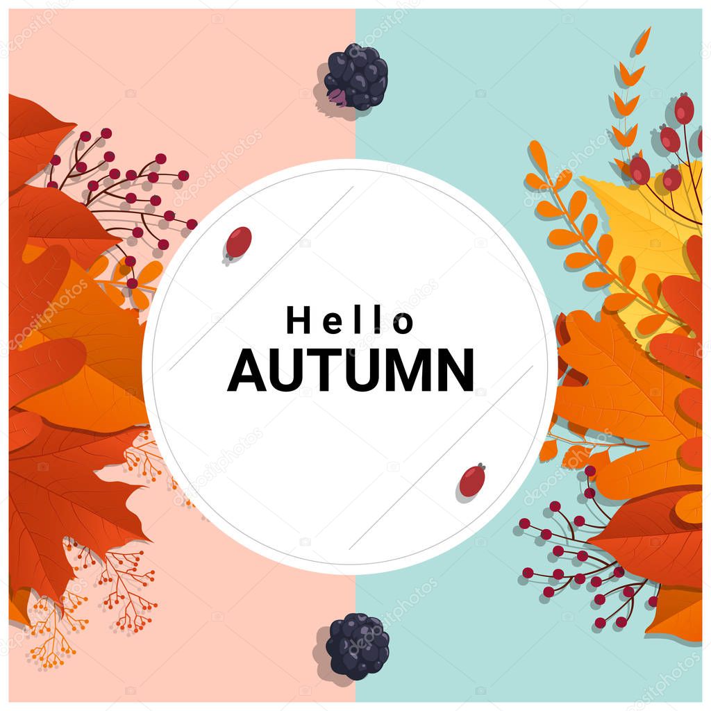 Hello autumn with colorful leaves and fruits background , vector , illustration