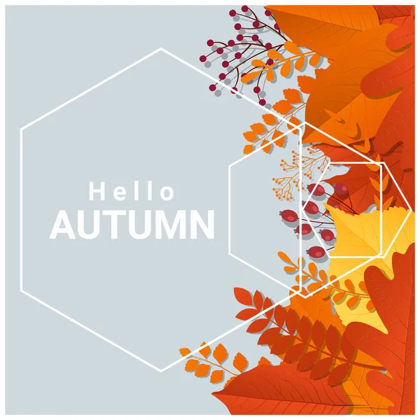 Hola otoño con hojas de colores y frutas de fondo, vector, ilustración — Vector de stock