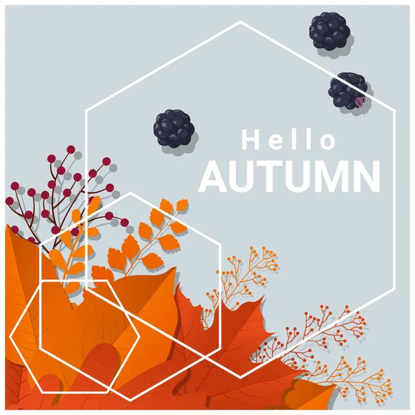 你好与多彩的秋天树叶和水果背景、 矢量图 — 图库矢量图片