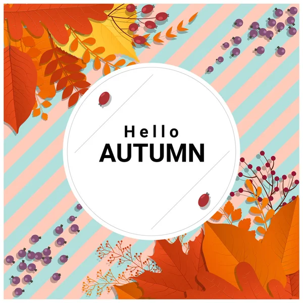 Hello autumn with colorful leaves and fruits background , vector , illustration — Stock Vector