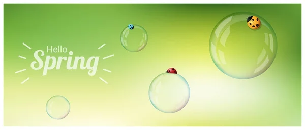 Hello Spring Achtergrond Met Kleurrijke Lieveheersbeestjes Zeepbellen Vector Illustratie — Stockvector